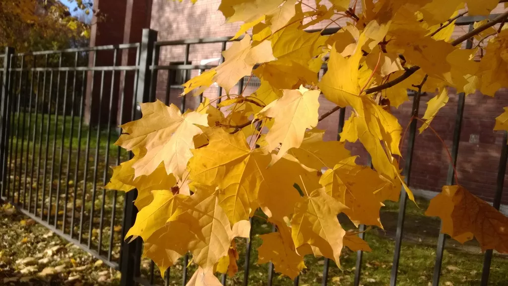 Пример фото с Lumia 925 Пример фото с Lumia 925