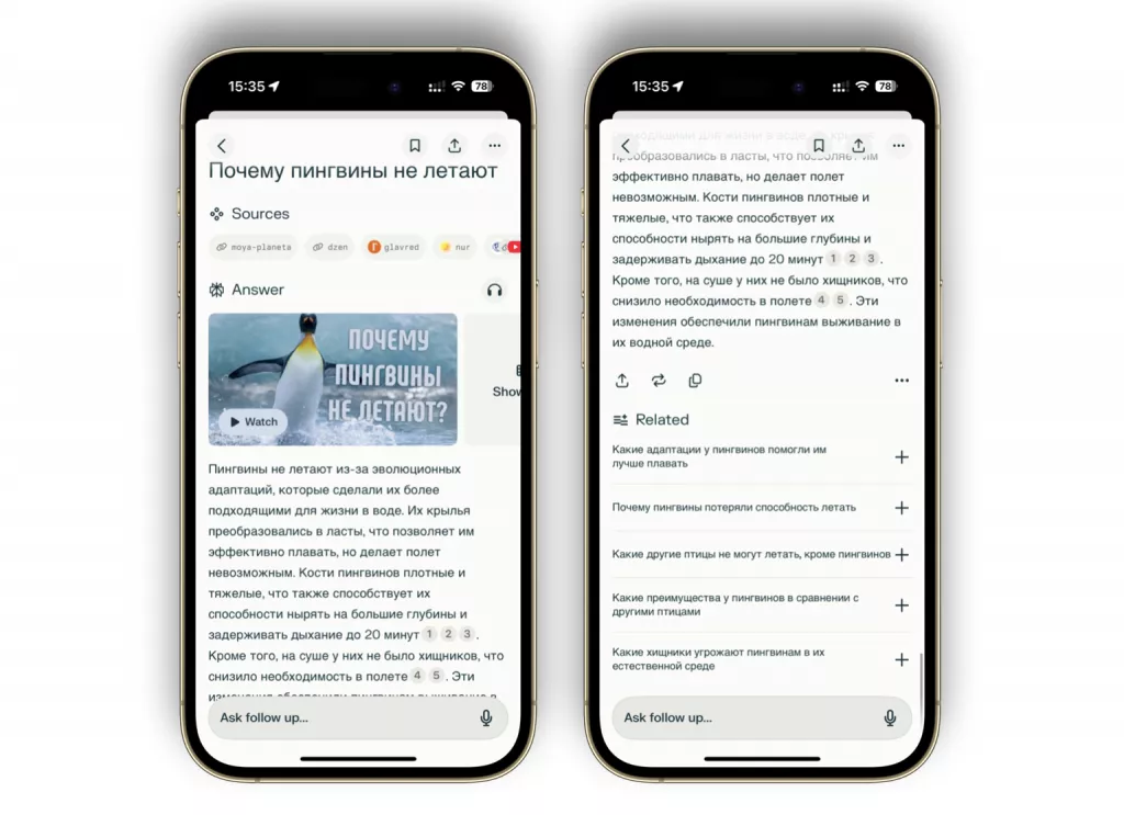 Perplexity Perplexity