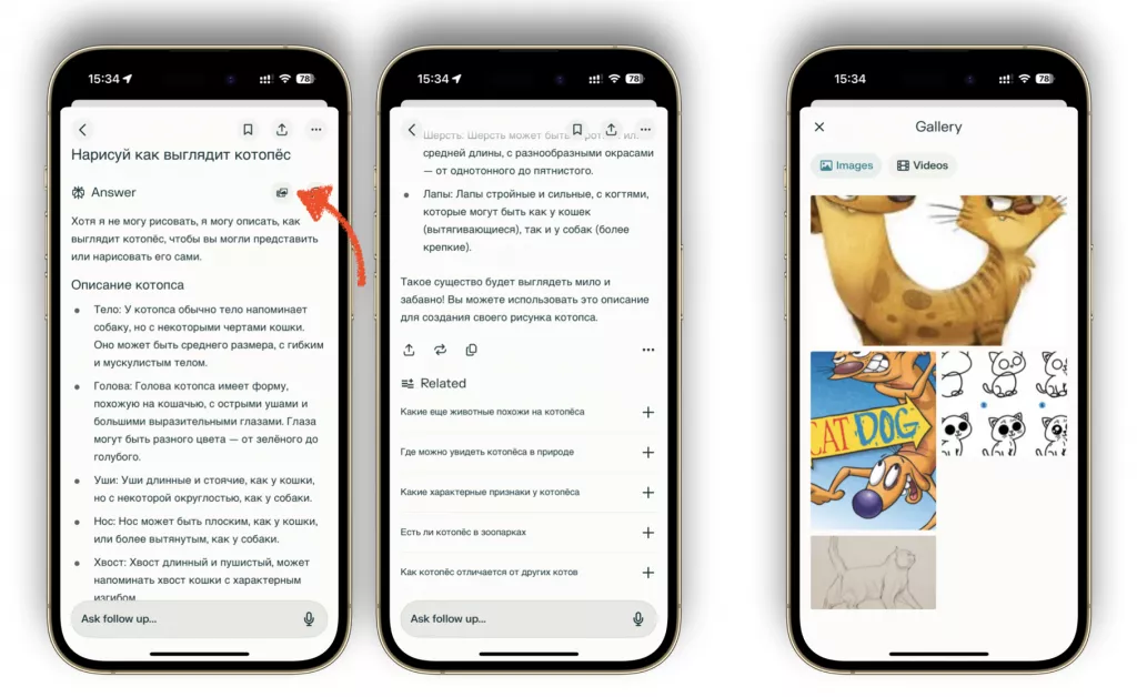 Perplexity Perplexity