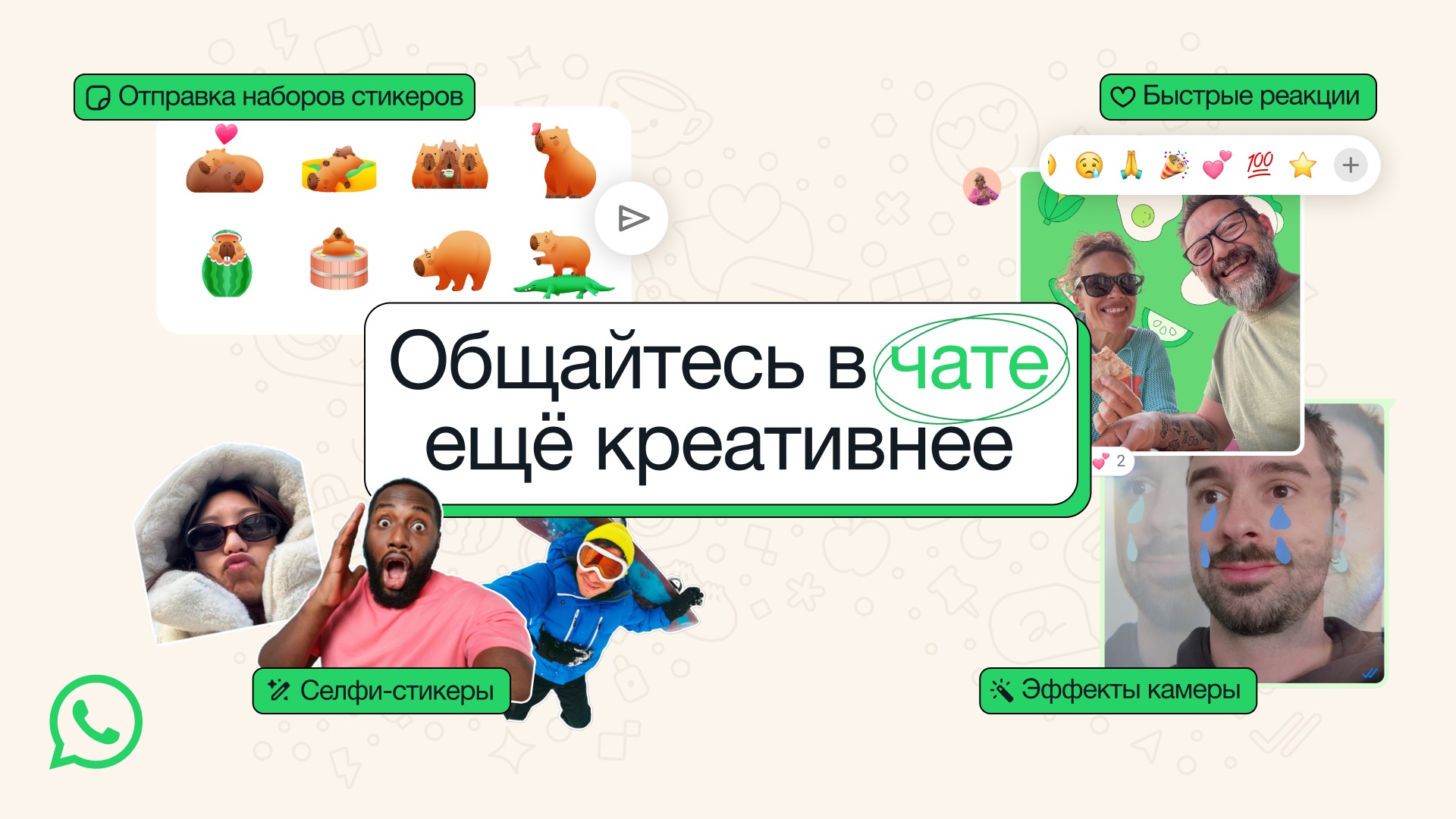 WhatsApp крупно обновился: появились быстрые реакции, стикерпаки и эффекты камеры