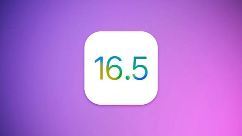 Вышли первые публичные бета-версии iOS 16.5 и iPadOS 16.5. Что нового?