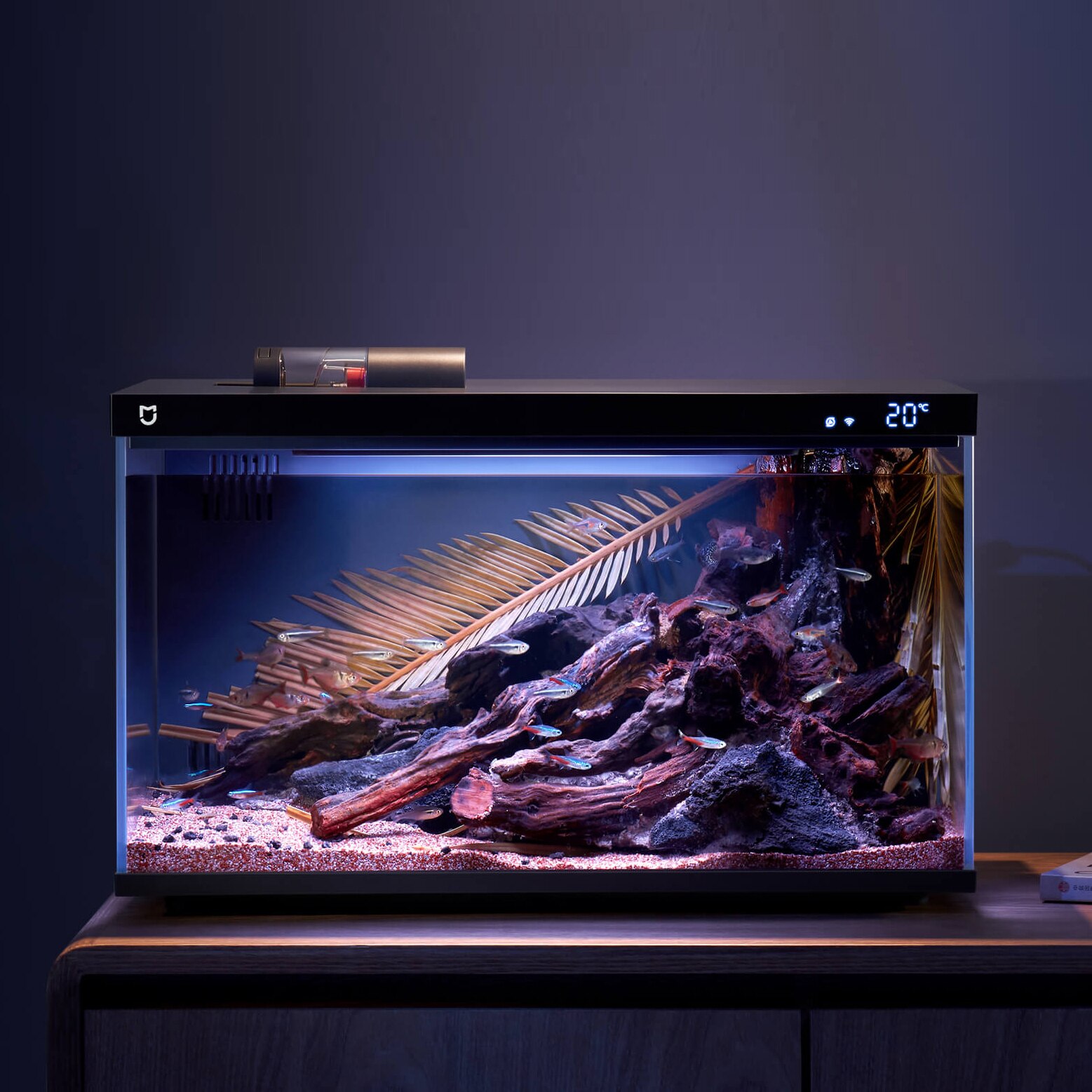Xiaomi представила умный аквариум Mijia Smart Fish Tank. Он очень дешёвый, но поразительно уникальный
