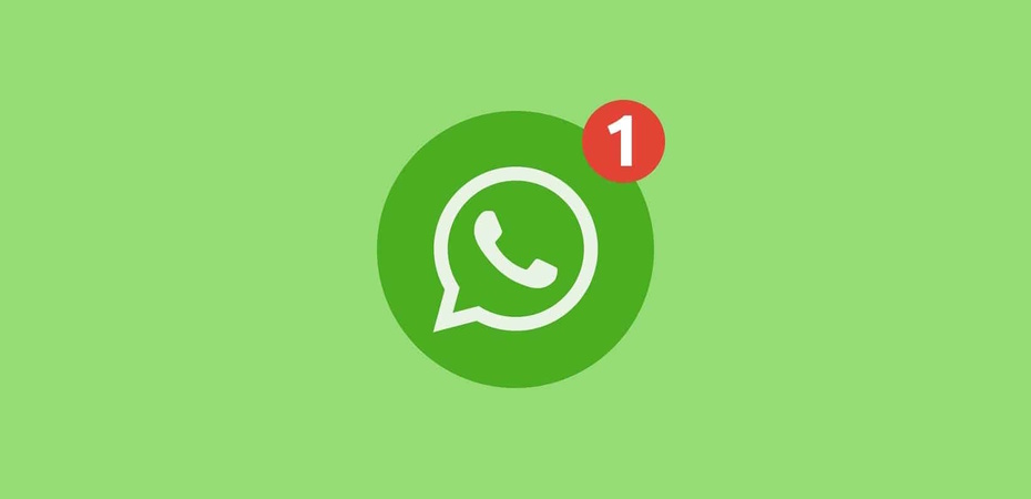 В WhatsApp появилась отправка видеосообщений. Как пользоваться?