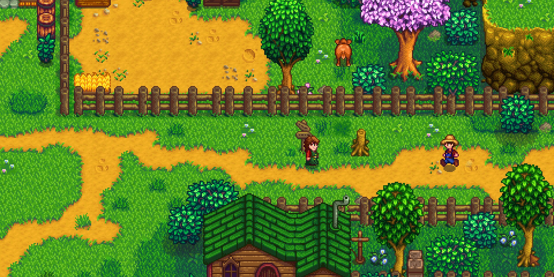 Stardew valley желтый судак где поймать