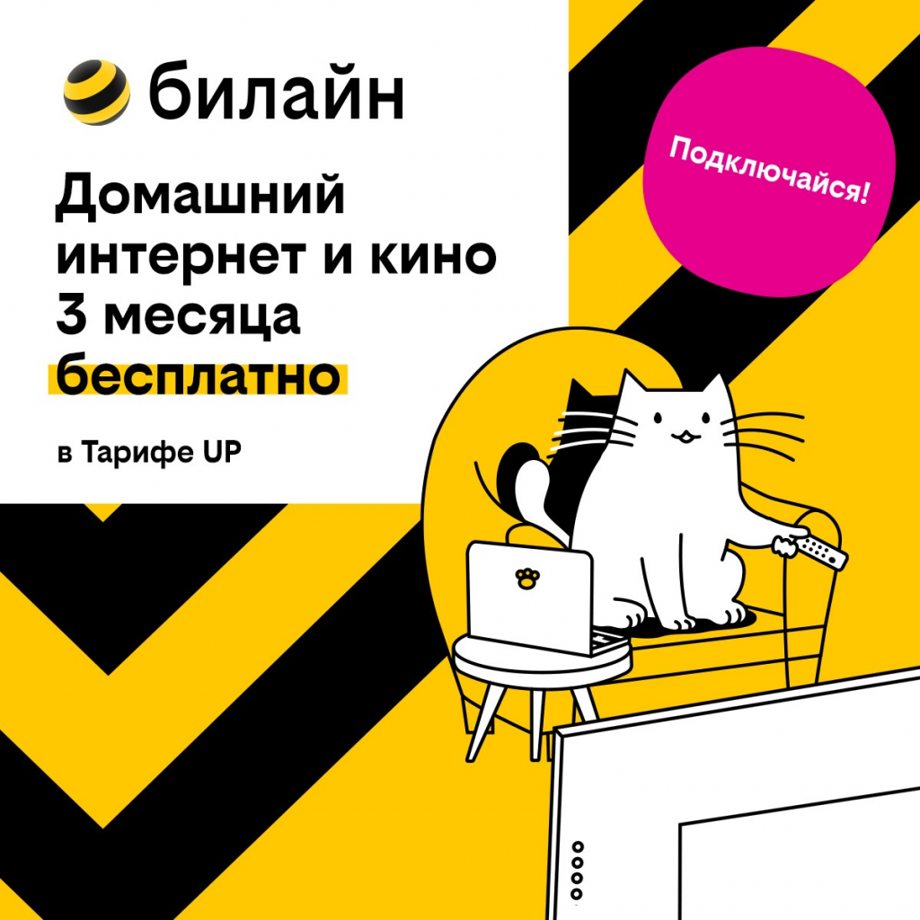 Базя, Пинг и Пуш сделают первые 3 месяца домашнего интернета с кинотеатром  и цифровым ТВ бесплатными