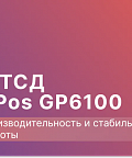 GlobalPOS GP-C6100. Полноэкранный терминал сбора данных начального уровня с Android